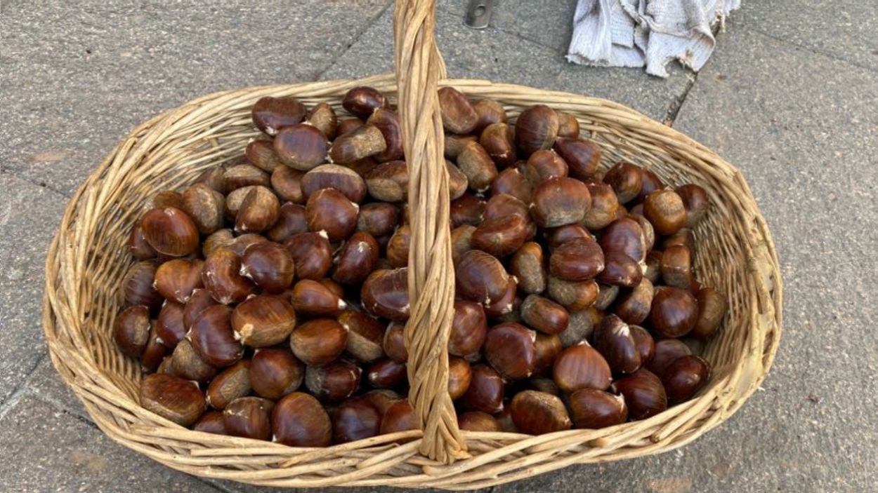 Una cistella de castanyes / Foto: Cugat Mèdia
