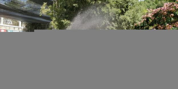 Les penyes combaten la calor / Foto: Cugat Mèdia