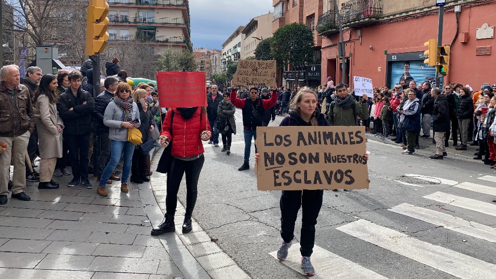 Un grup de persones protesta en favor dels animals / Foto: Cugat Mèdia