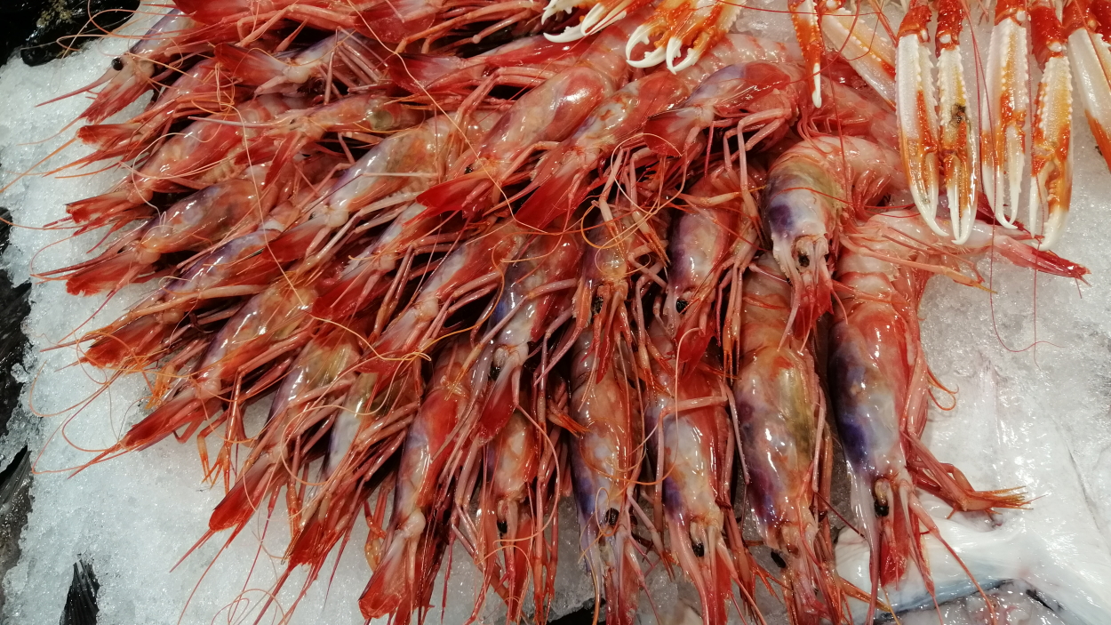 Les gambes són un crustaci imprescindible per a una barbacoa de peix / Foto: Cugat Mèdia