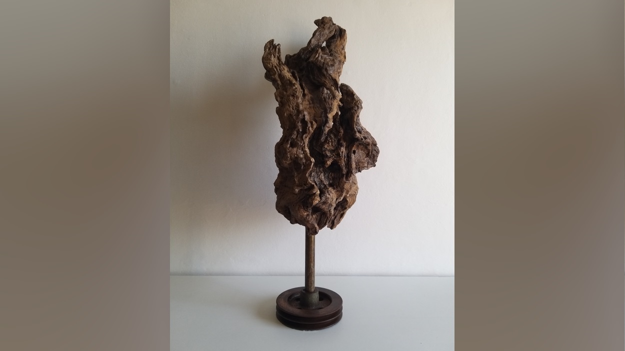Foto: Imatge de l'exposició