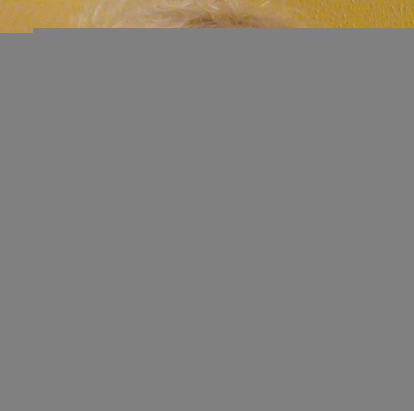 Maria Dolors Renau i Mann